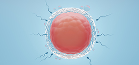 Male Infertility